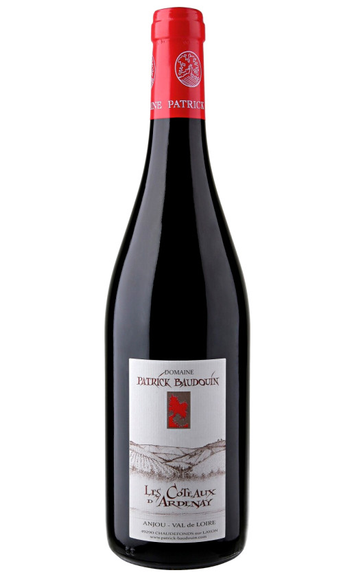 Domaine Patrick Baudouin Les Coteaux d'Ardenay Anjou 2015