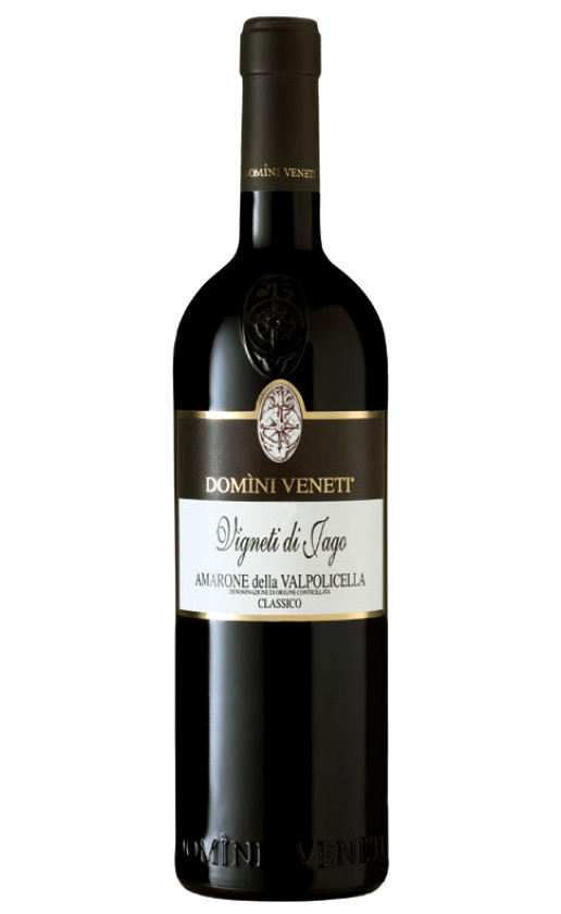 Domini Veneti Amarone della Valpolicella Classico Vigneti di Jago red dry 2007