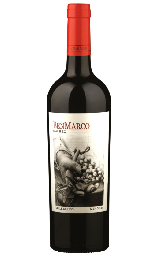 Dominio del Plata BenMarco Malbec 2019