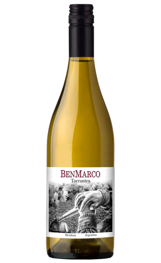Dominio del Plata BenMarco Torrontes 2013