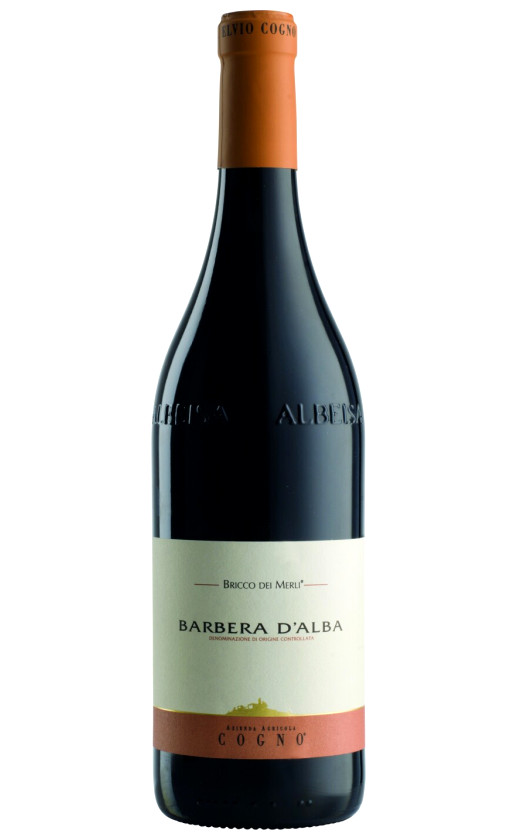 Elvio Cogno Bricco dei Merli Barbera d'Alba 2014