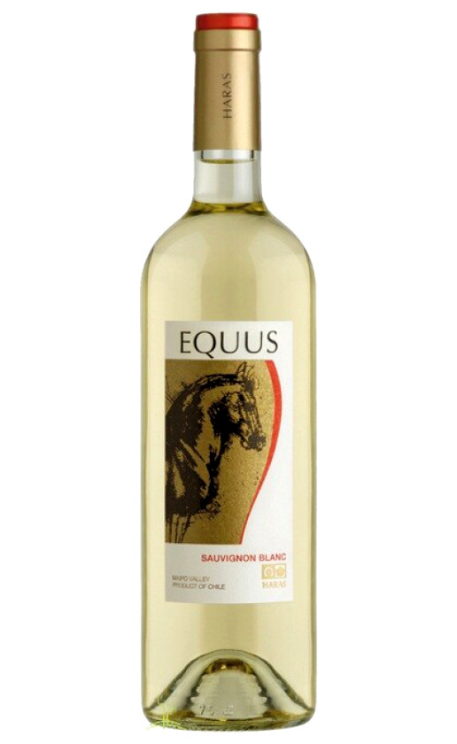 Equus Sauvignon Blanc 2010