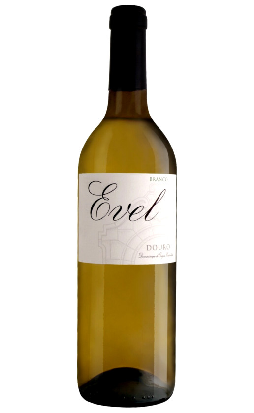 Evel Branco Douro 2020