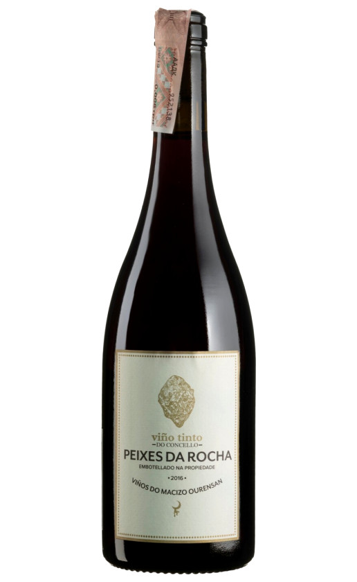 Fedellos do Couto Peixes da Rocha 2016