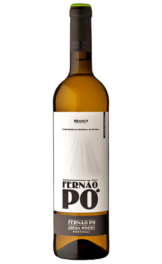 Fernao Po Branco 2017