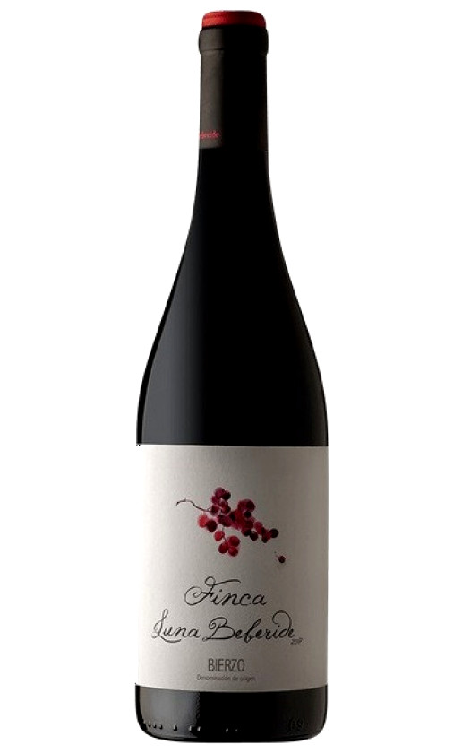 Finca Luna Beberide Bierzo 2018
