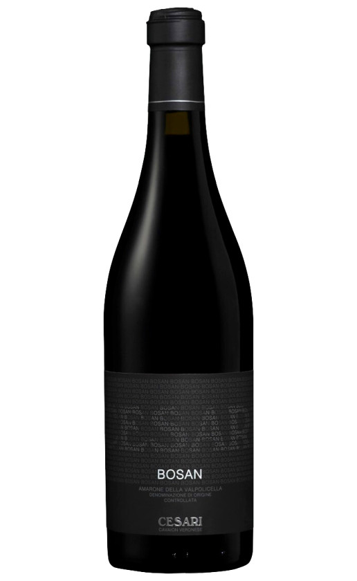 Gerardo Cesari Bosan Amarone della Valpolicella