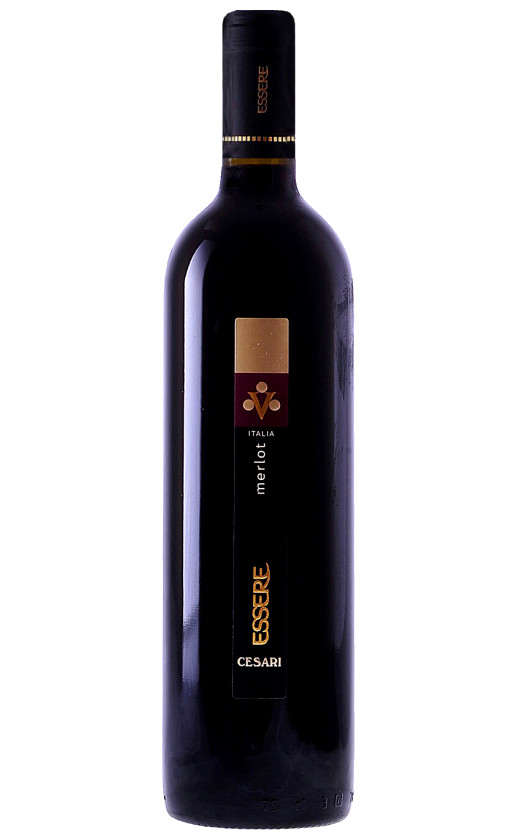 Gerardo Cesari Essere Merlot delle Venezie