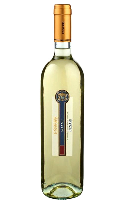 Gerardo Cesari Essere Soave