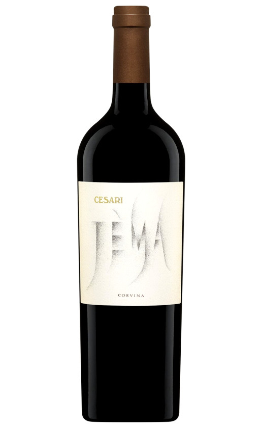 Gerardo Cesari Jema Corvina Veronese 2015