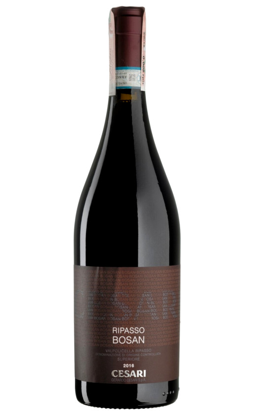 Gerardo Cesari Ripasso Bosan Valpolicella Ripasso Superiore 2016
