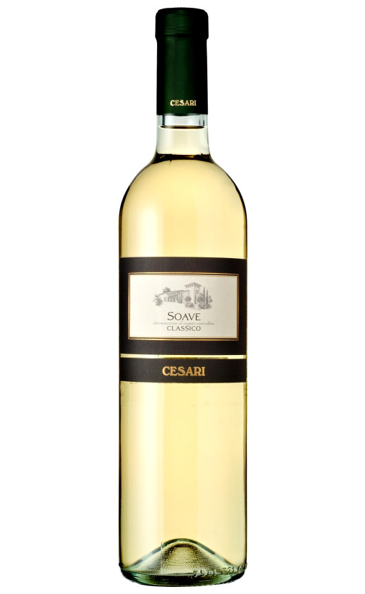Gerardo Cesari Soave Classico