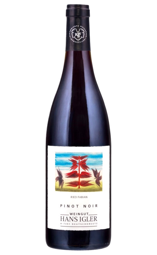 Hans Igler Pinot Noir Ried Fabian 2016