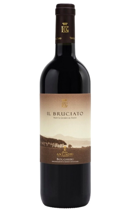 Il Bruciato Bolgheri 2019