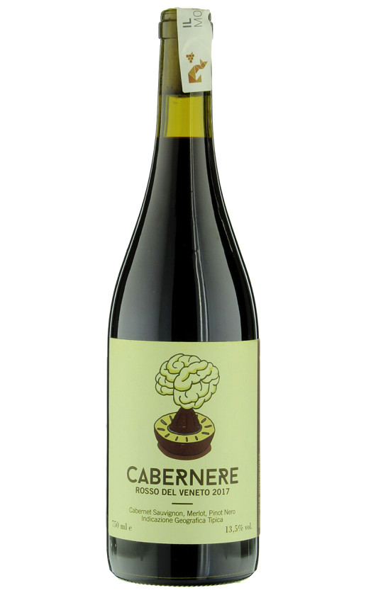 Il Moralizzatore Cabernere Veneto 2017