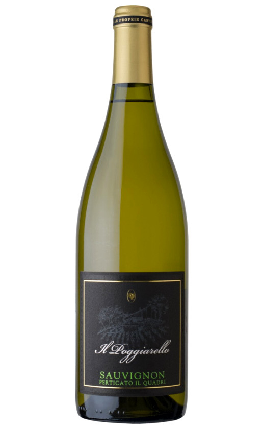 Il Poggiarello Perticato Il Quadri Sauvignon