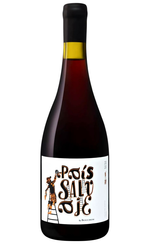 J.Bouchon Pais Salvaje Maule Valley 2020