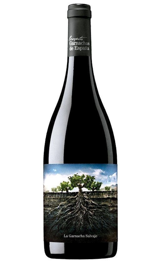 La Garnacha Salvaje del Moncayo 2018