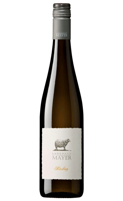 Landhaus Mayer Riesling
