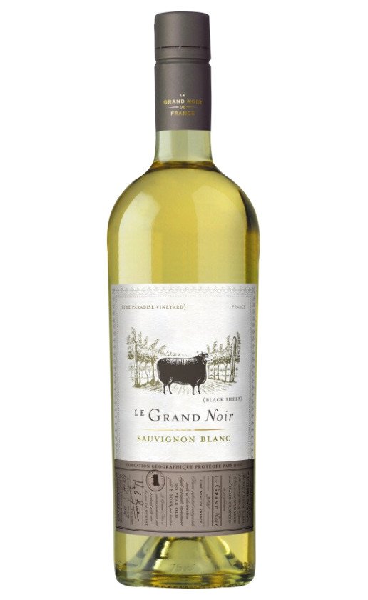 Le Grand Noir Sauvignon Blanc Pays d'Oc 2020