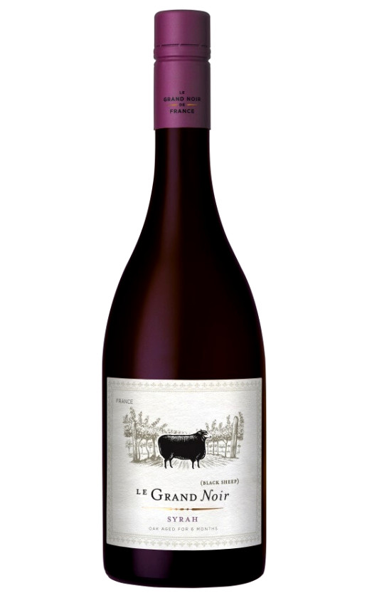 Le Grand Noir Syrah Pays d'Oc 2020