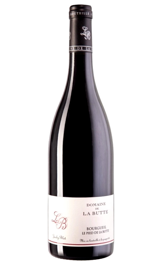 Le Pied de la Butte Bourgueil 2019