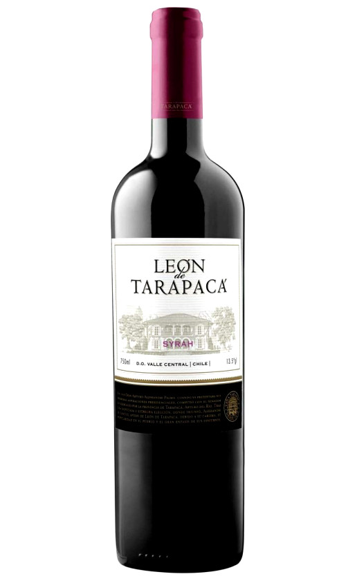 Leon de Tarapaca Syrah