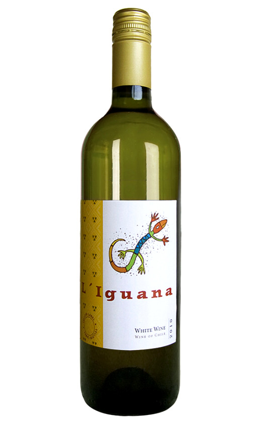 L'Iguana White 2010