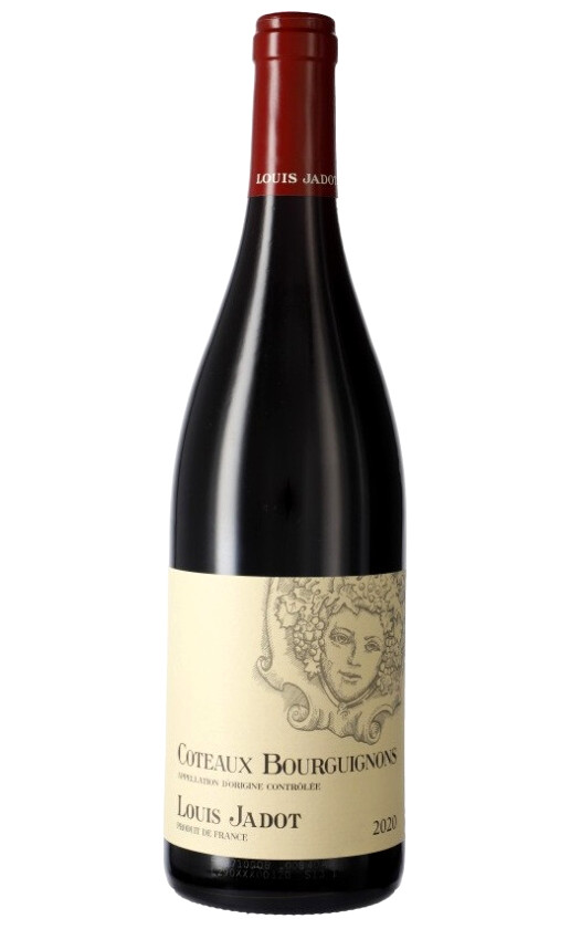 Louis Jadot Coteaux Bourguignons Rouge 2020