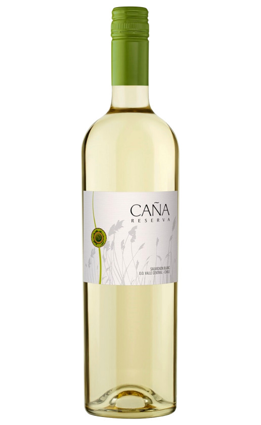 Maola Cana Reserva Sauvignon Blanc Valle Central