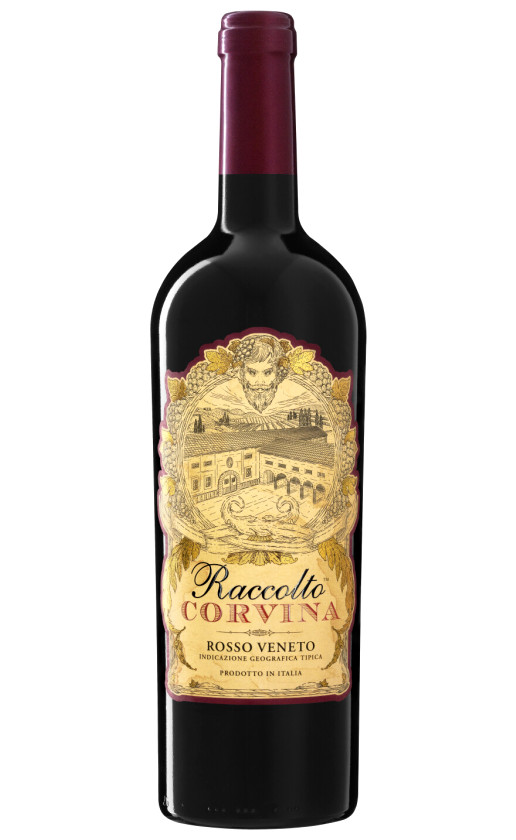 Mare Magnum Raccolto Corvina Veneto