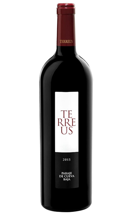 Mauro Terreus 2015