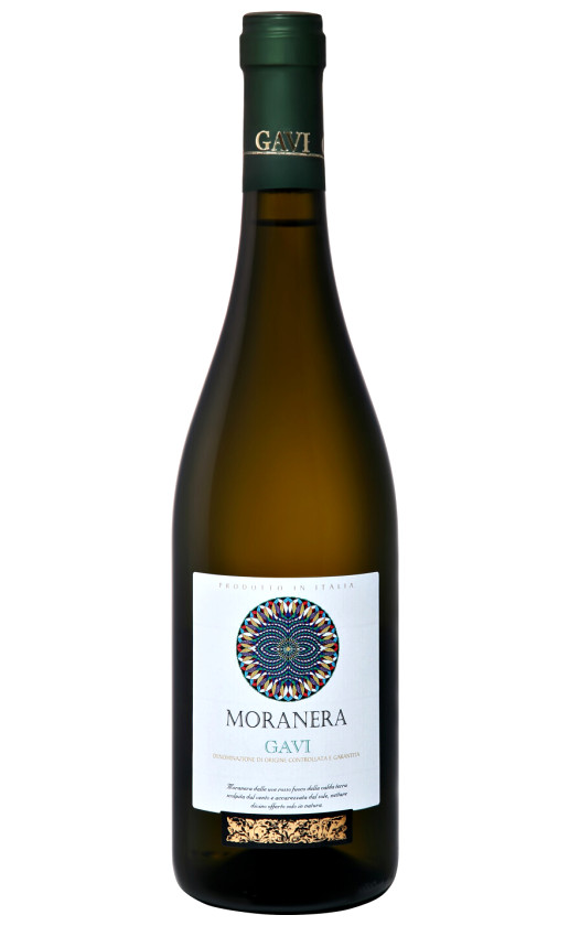 Morando Moranera Gavi