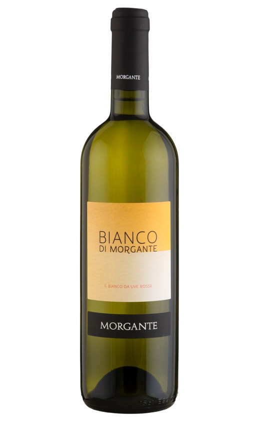 Morgante Bianco di Morgante Sicilia 2012