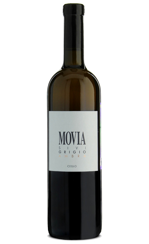 Movia Sivi Grigio Ambra 2017