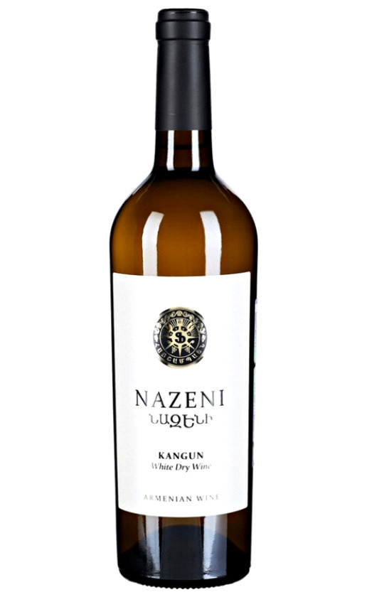 Nazeni Kangun