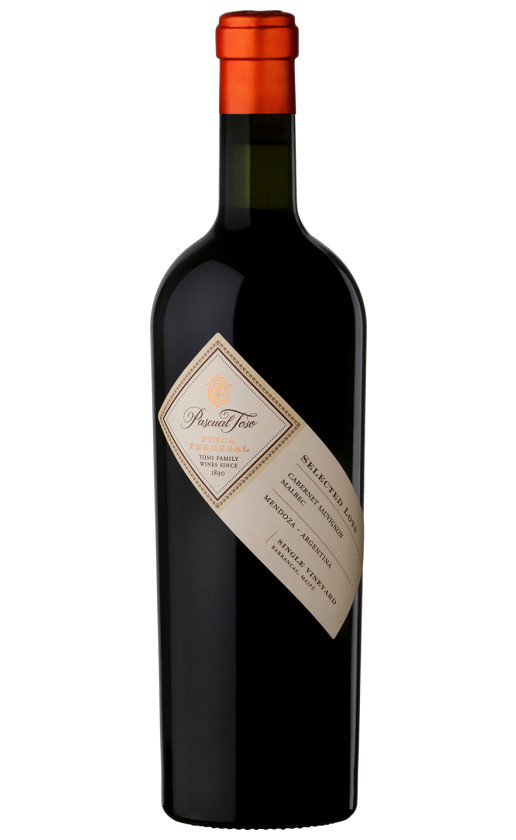 Pascual Toso Finca Pedregal Single Vineyard 2016