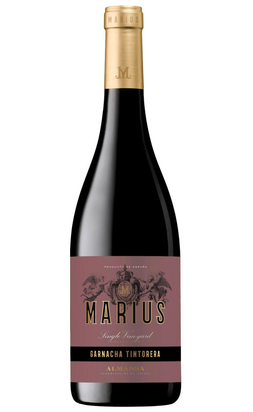 Piqueras Marius Garnacha Tintorera Almansa 2015