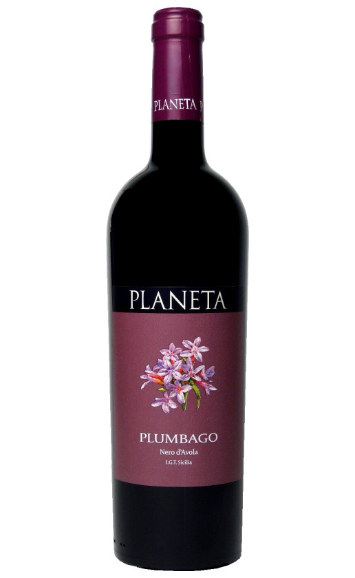 Planeta Plumbago Sicilia 2018