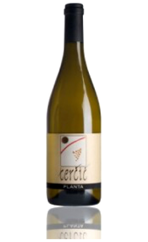 Planta Collio Bianco 2004