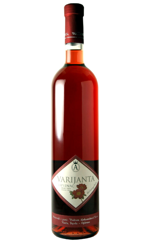 Podrum Aleksandrovic Varijanta 2010