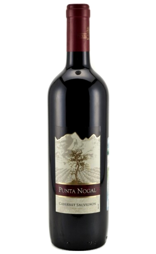 Punta Nogal Cabernet Sauvignon Rapel Valley 2009