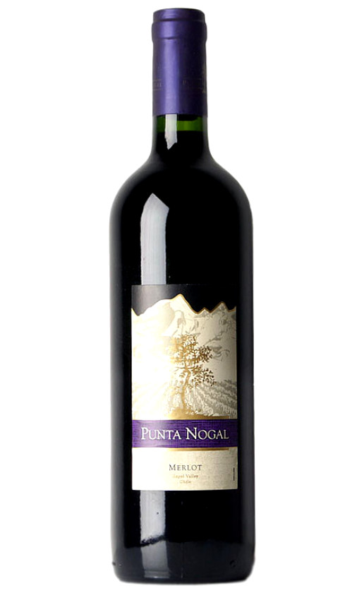 Punta Nogal Merlot Rapel Valley 2010