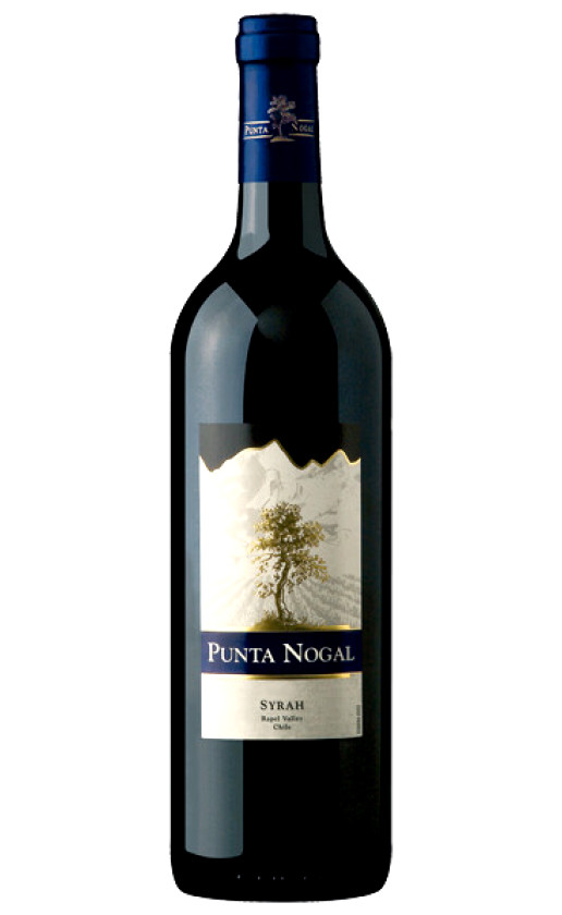 Punta Nogal Syrah 2009