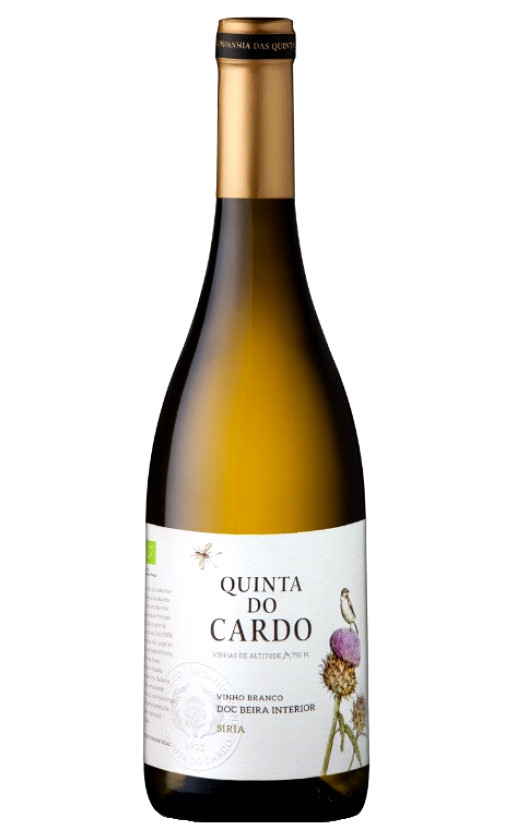 Quinta do Cardo Branco Beira Interior