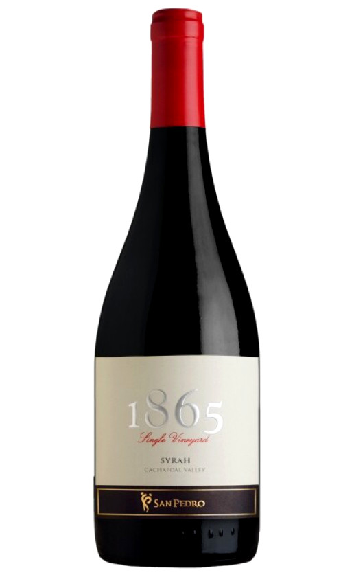 San Pedro 1865 Single Vineyard Syrah 2010