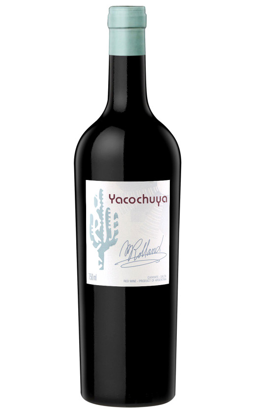 San Pedro Yacochuya 2013