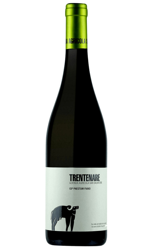 San Salvatore Trentenare Fiano Paestum 2017