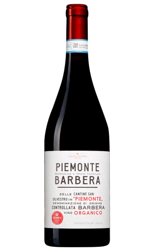 San Silvestro Barbera Piemonte