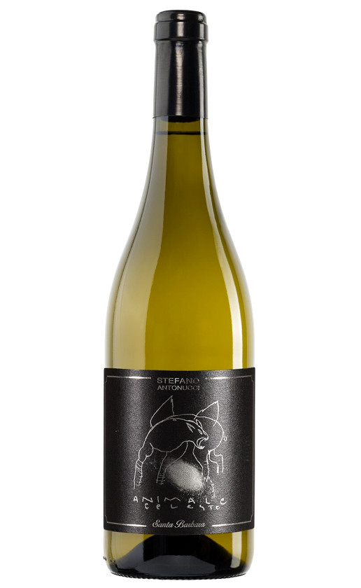 Santa Barbara Animale Celeste Sauvignon Blanc
